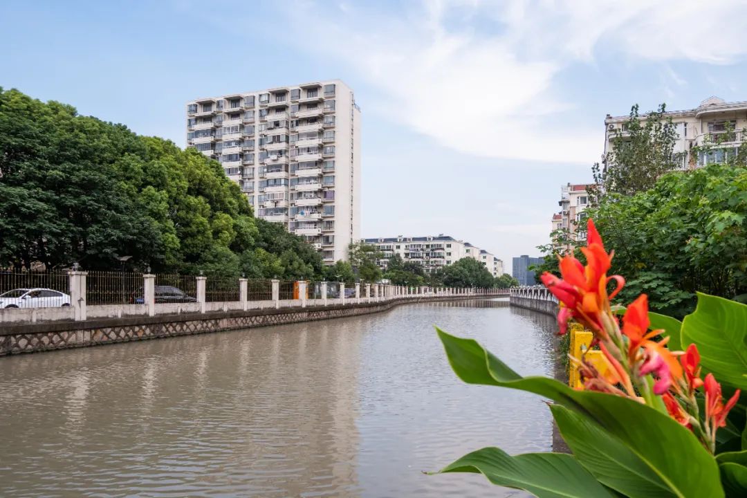 中汾泾怎么样?这些河道的名字大家都会念了吗?