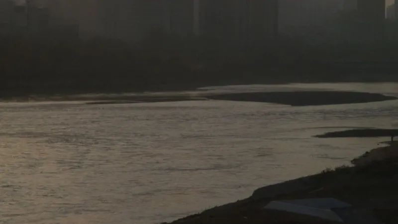 9部最新影像力作，带你深入我们的2020（最新发布）