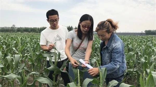 今年年初,班丽萍老师带领团队学生远赴学校对口支援的