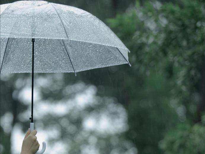 雨中浙师竟美成这样…你那儿也下雨了