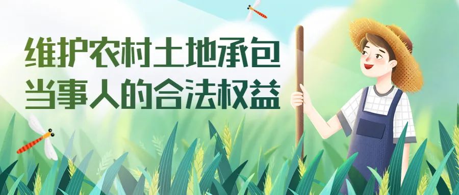 国家依法保护农村土地承包关系的长期稳定,任何组织和个人不得剥夺和