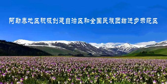 新疆经济发展动能强劲活力充沛（最新发布）