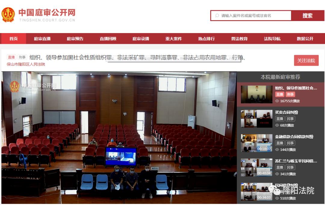 【扫黑除恶】29人,涉13项罪名!保山市隆阳区人民法院.