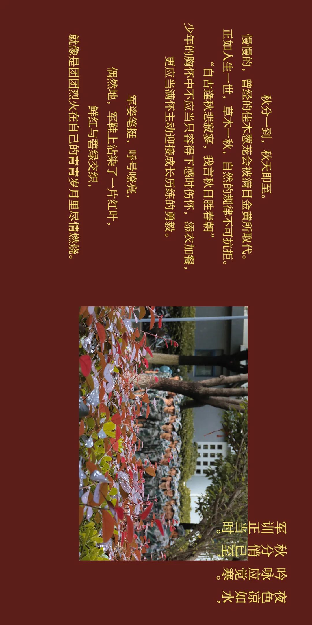 choice文 秦苏豫 陈芊祎 张徐修 郭韬 吕曼绮美编 邓子添 金笑