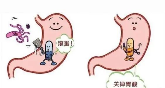 慢性胃炎,药不能停