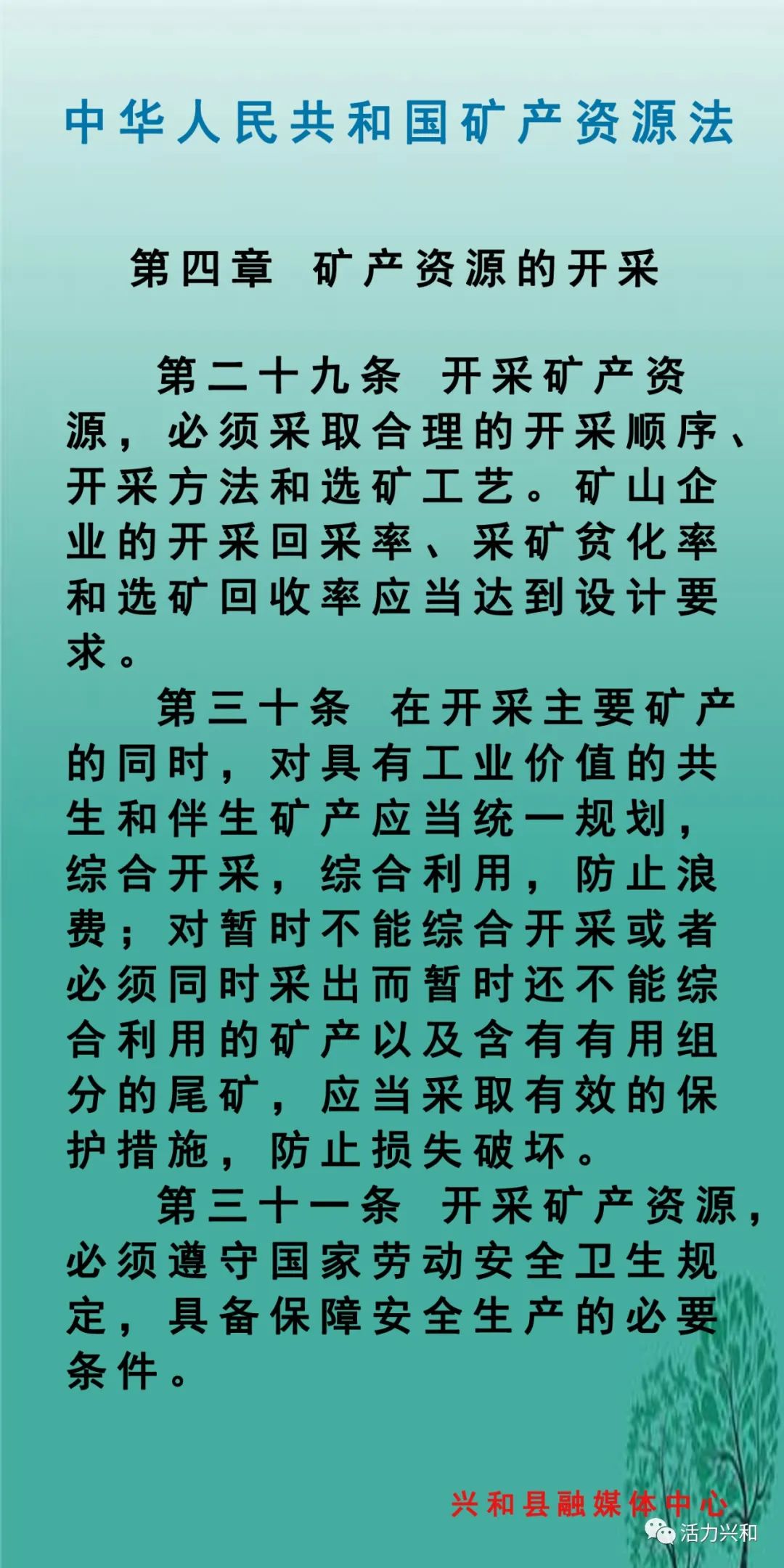 政策法规中华人民共和国矿产资源法四