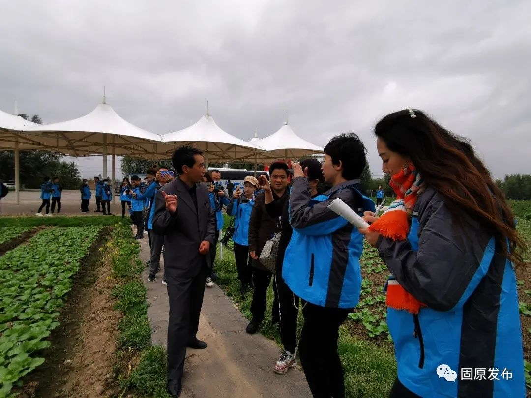 近年来,彭堡镇以姚磨村为发展基地,逐步建起3个万亩的冷凉蔬菜基地