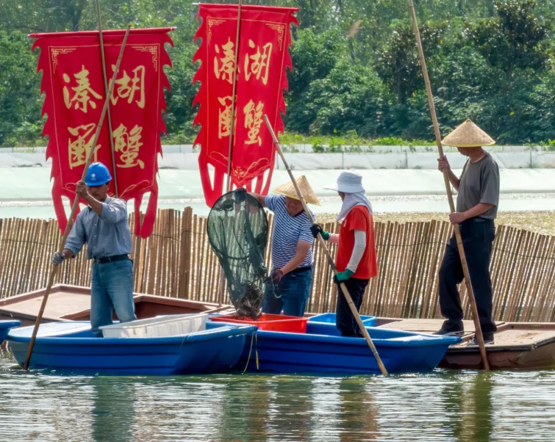 开捕冲鸭