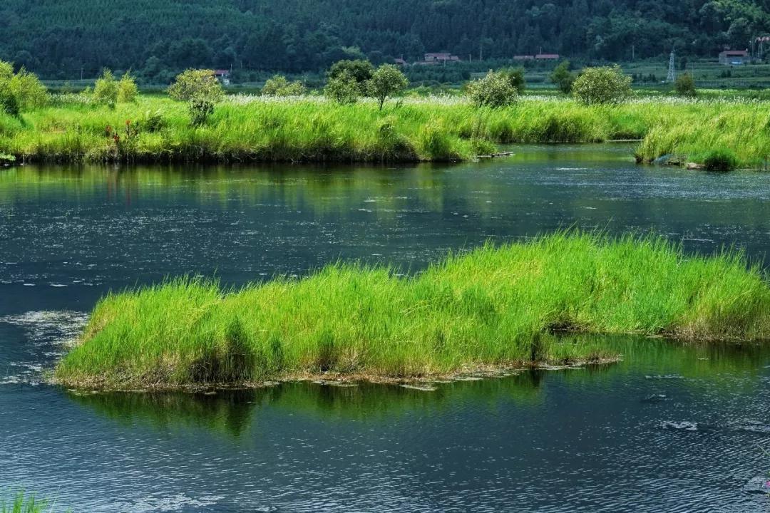 腾冲北海湿地小镇首届民族风情文化节来袭