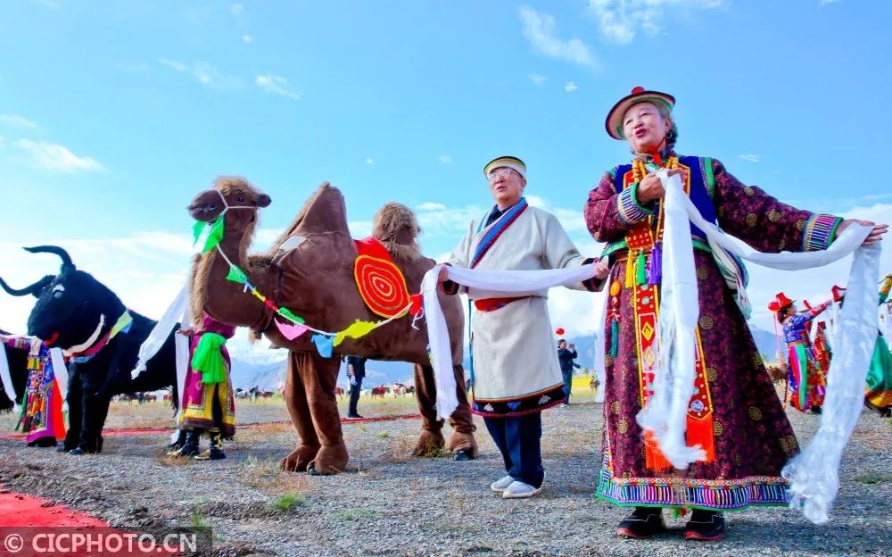 图↑当地农牧民群众手捧洁白的哈达,跳起欢快的舞蹈祝福祖国繁荣昌盛.