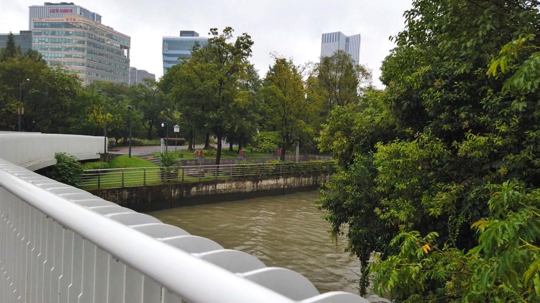 上海市内游玩安排，大片大片的森林、湿地、草坪（最新发布）