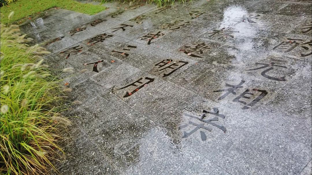 上海市内游玩安排，大片大片的森林、湿地、草坪（最新发布）