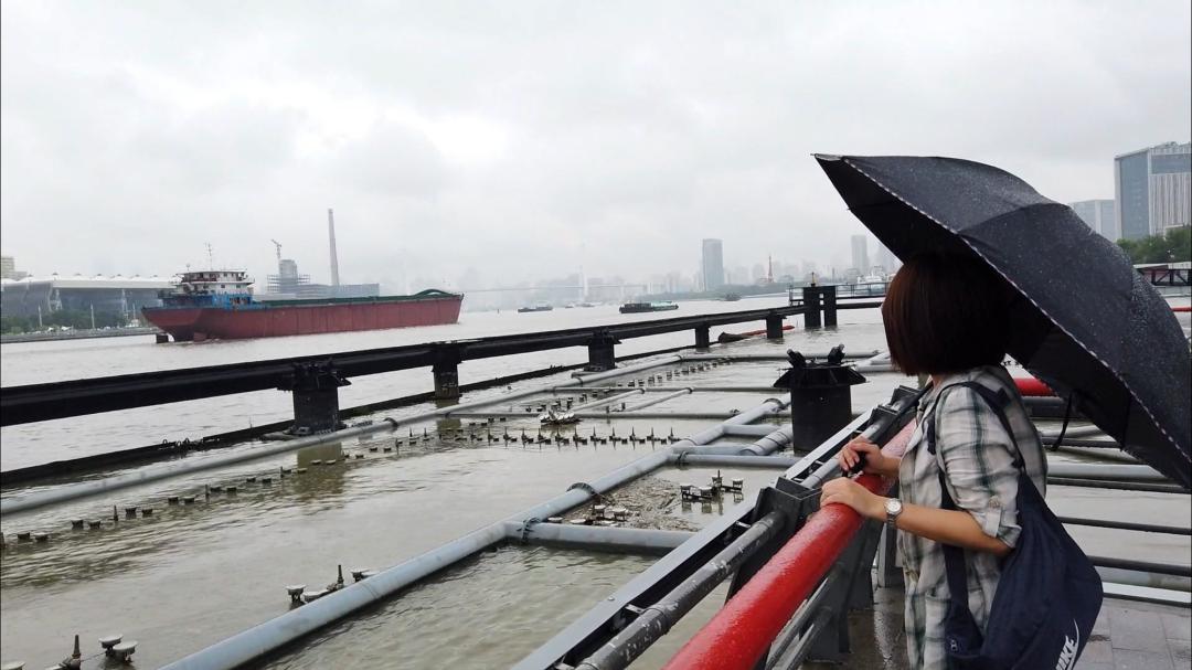 上海市内游玩安排，大片大片的森林、湿地、草坪（最新发布）