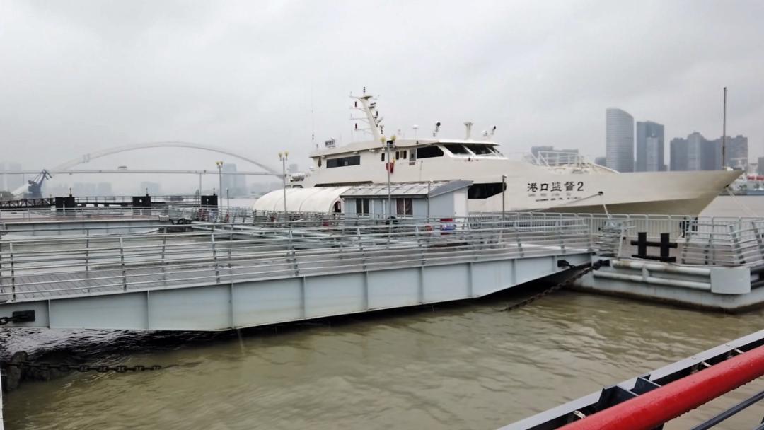 上海市内游玩安排，大片大片的森林、湿地、草坪（最新发布）