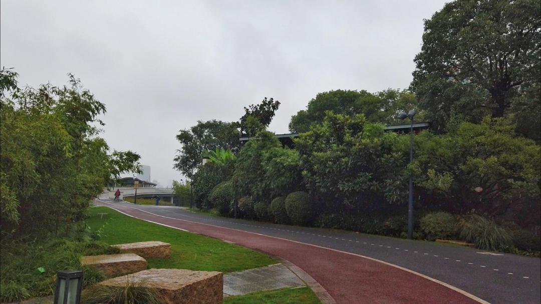 上海市内游玩安排，大片大片的森林、湿地、草坪（最新发布）