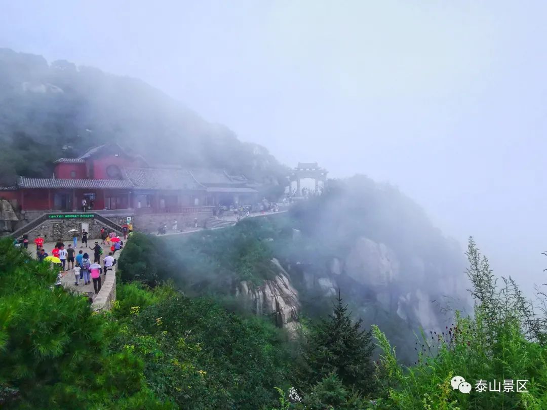 小学生眼中的泰山