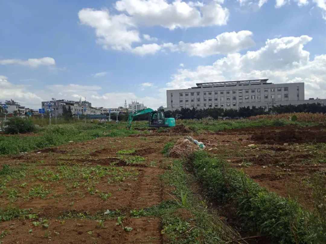 弥勒全市大行动万人参与场面太壮观