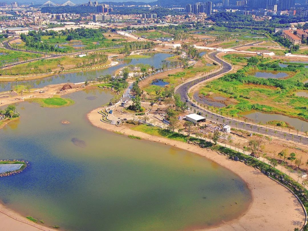 多图直击江门人才岛活动现场市民游客乐游感叹变化太大