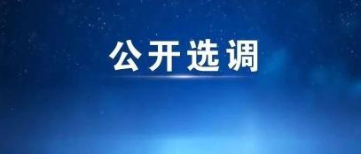 面向全省!大庆市红岗区公开选调镇,街道事业编制人员21名