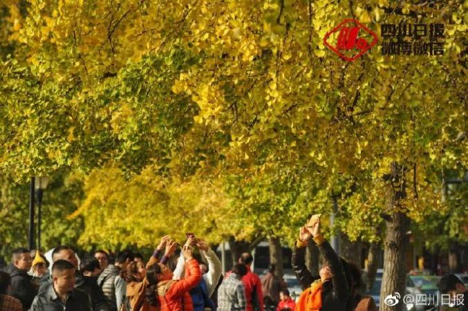 四川按下全面降温键!“春捂秋冻”真的靠谱吗?(最新发布)