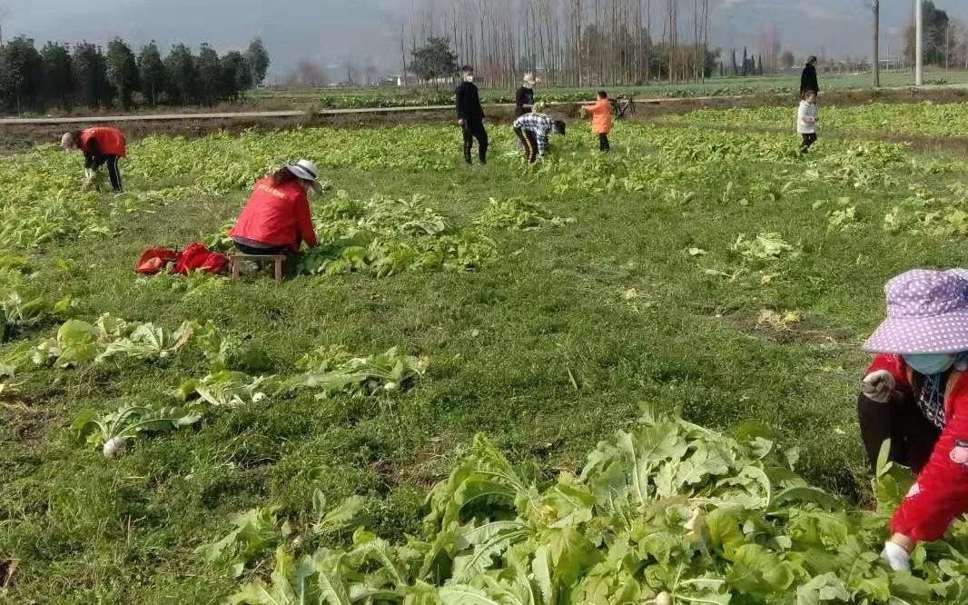 【“疫情防控 四川在行动”征文】蒋延珍 ‖ 围炉夜话同揪心(最新发布)