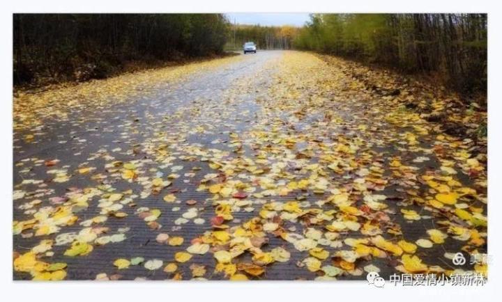 雨后的秋天——中国爱情小镇北国红豆之乡新林