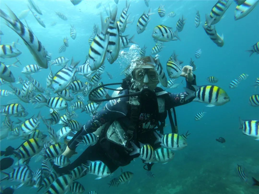 新华社报道丨在海棠湾的一天三亚双节旅游见闻