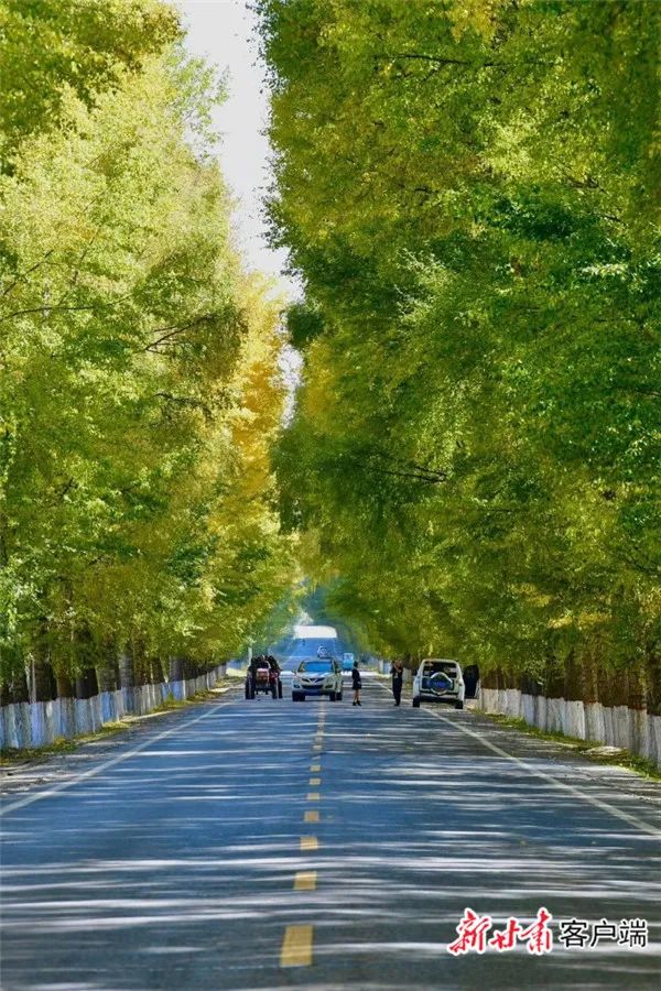 返程的小伙伴注意了！“寒露”来袭，甘肃东部有雨雪天气（最新发布）