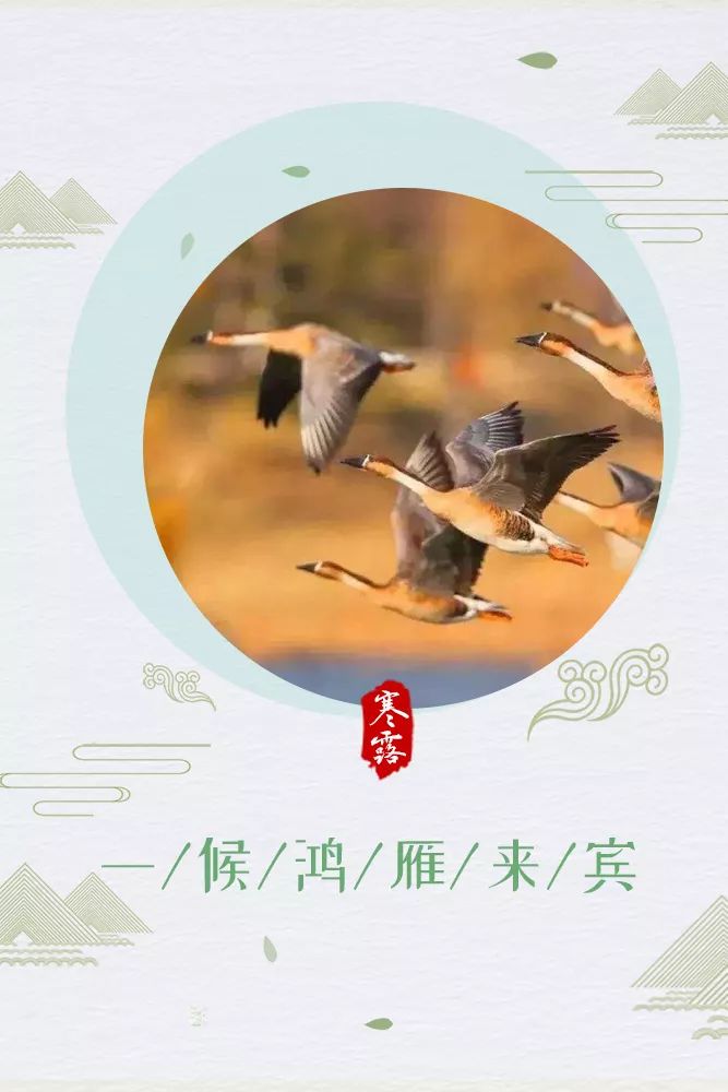 寒露的标志性物候有三在古人看来"寒露"则是凉爽向寒冷的转折如果说"