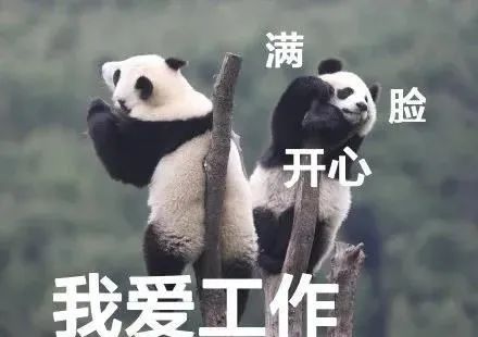 收假收心小编带你看新闻