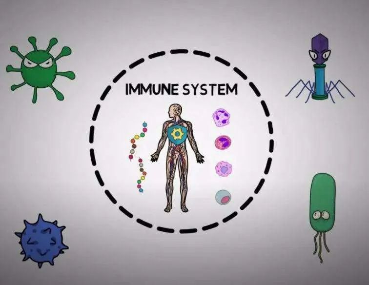 新冠二次爆发免疫力成为人类与病原微生物斗争的关键