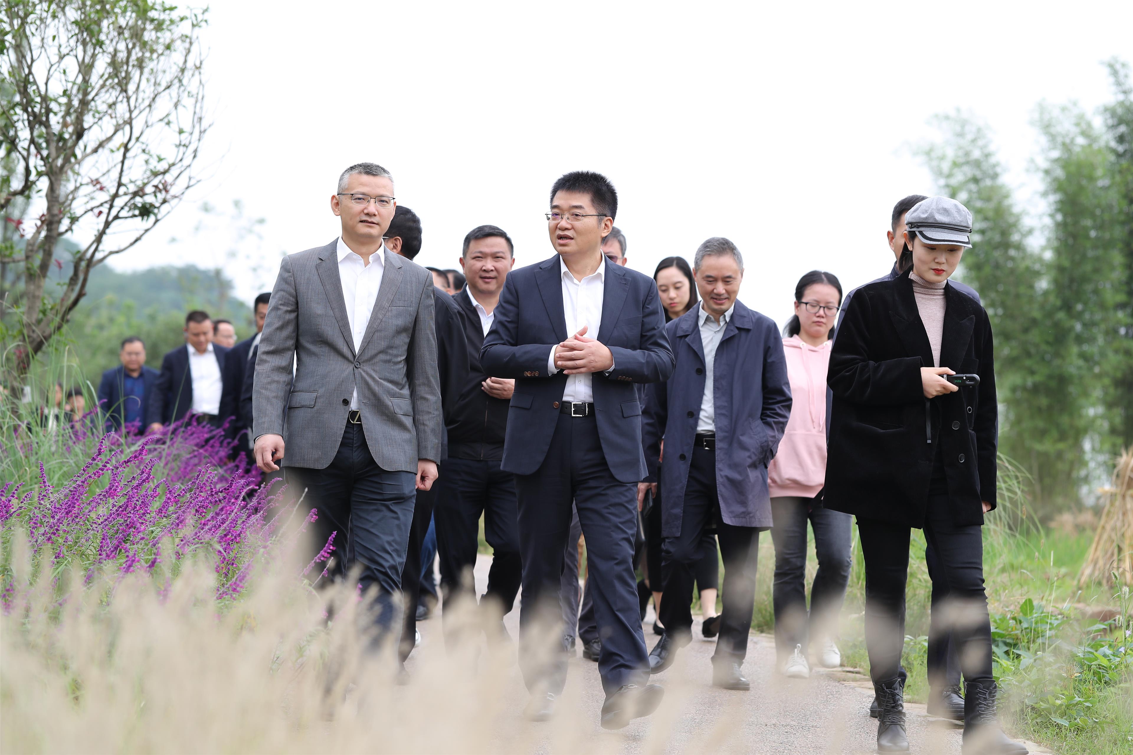 沙坪坝区党政代表团赴南岸区考察学习