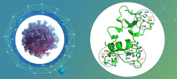 港大化学和微生物学者研究发现一类临床常用含金属抗菌药物可有效针对