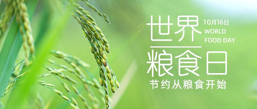 世界粮食日 | 光盘有奖励,普洱餐饮商家杜绝浪费出新招