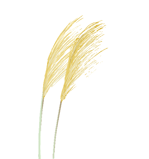 刚刚,辽宁发布紧急提示!(最新发布)