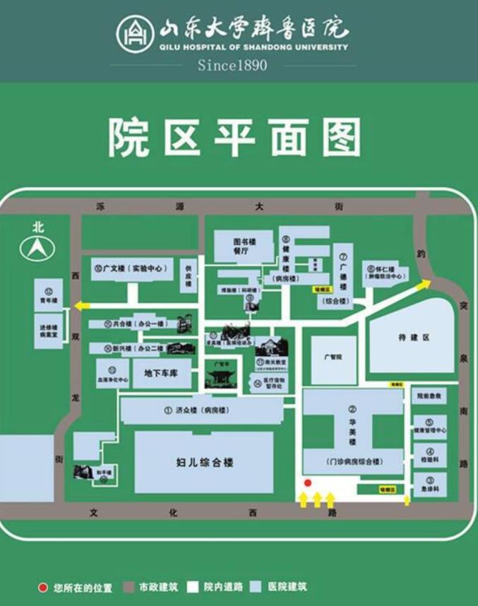 齐鲁医院新建20万平急诊综合楼有最新进展