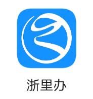 3,浙江省核发的驾驶证,行驶证,官方出示渠道为"浙里办"app;2,江苏省