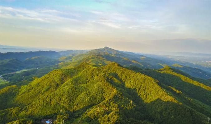 梁平百里竹海上榜成渝双城经济圈『最美竹林风景