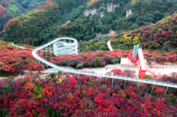 "鲁商红叶柿岩旅游区首届红叶节自驾季"22日启动