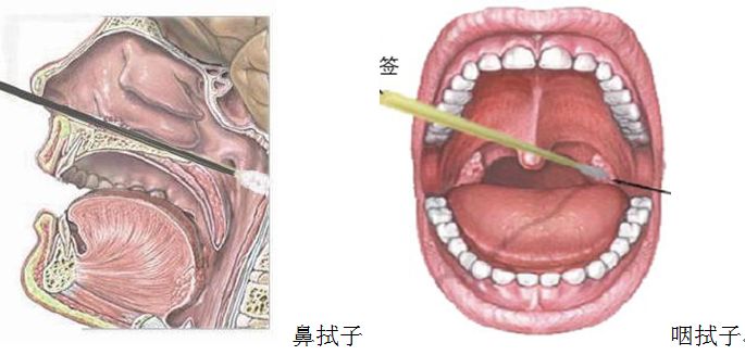 全员核酸检测怎么做?快看这里!