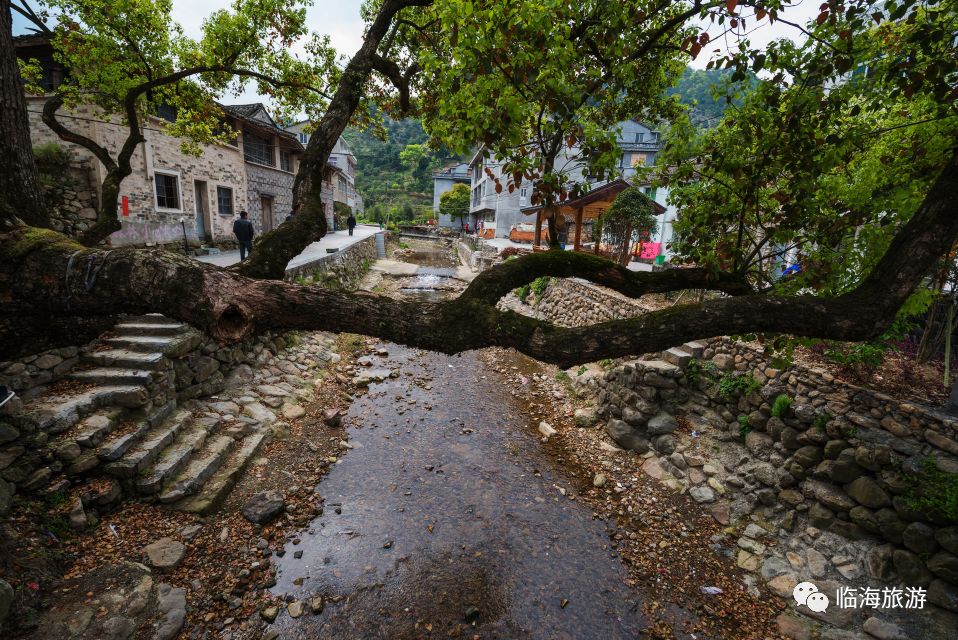 临海市河头镇岩坑村是浙江省3a级景区村庄,地处河头镇西北部,背靠海拔