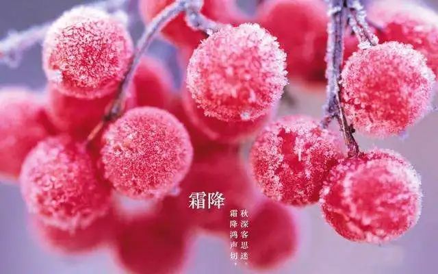 节气| 今天霜降!教你几招远离流感!