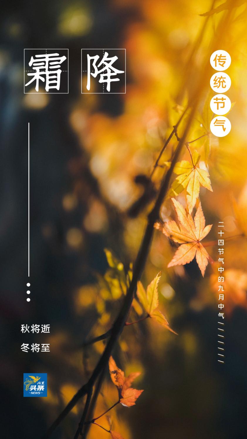 秋将逝,冬将至,今日霜降!