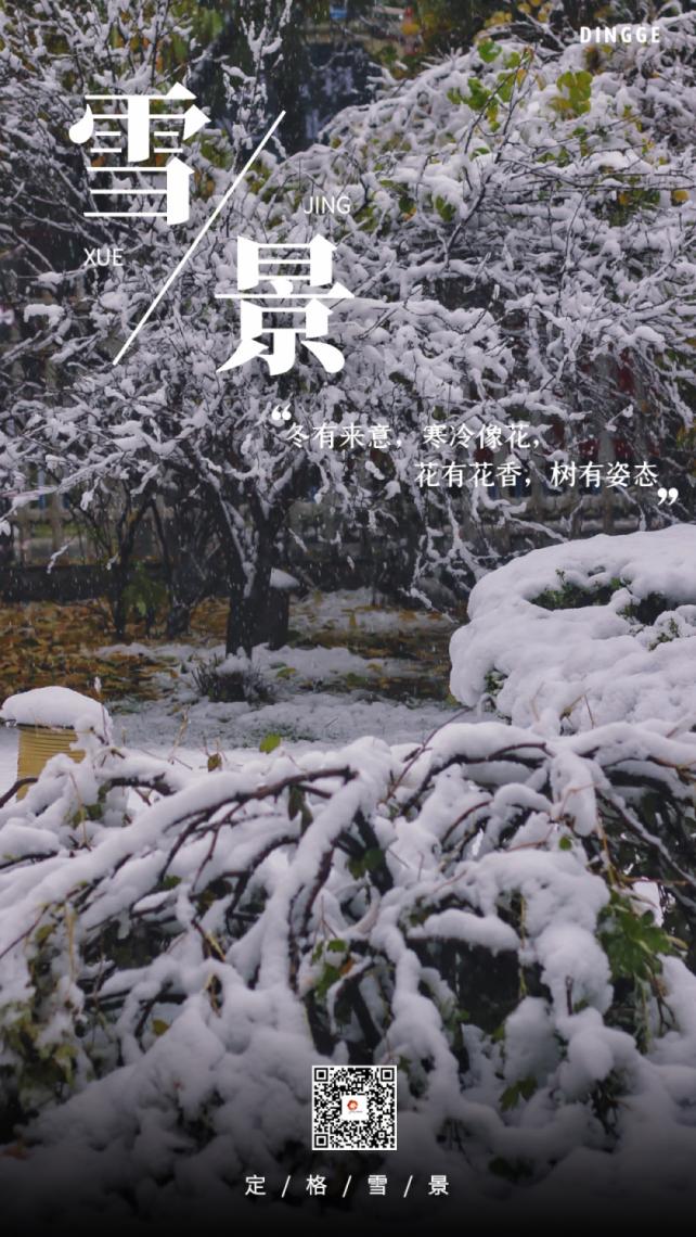 融媒v海报丨初雪如约而至来欣赏一组临夏的雪中景吧
