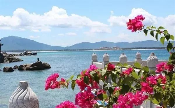 往南飞:海南