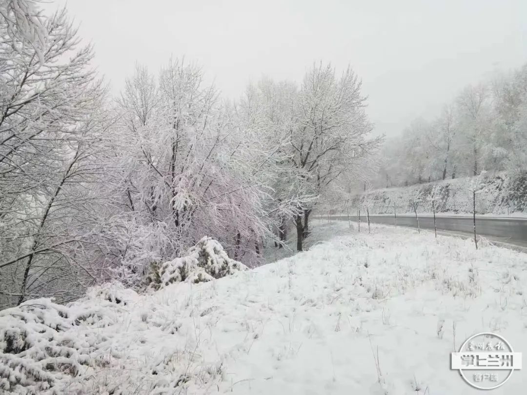 深秋,到甘肃来看初雪