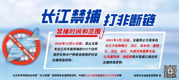 市场监管部门发布长江禁捕鱼名单:含圆口铜鱼等五类_政务_澎湃新闻