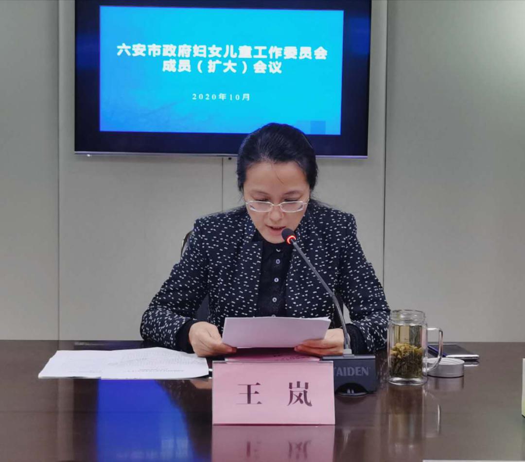 六安市召开市政府妇女儿童工作委员会成员(扩大)会议