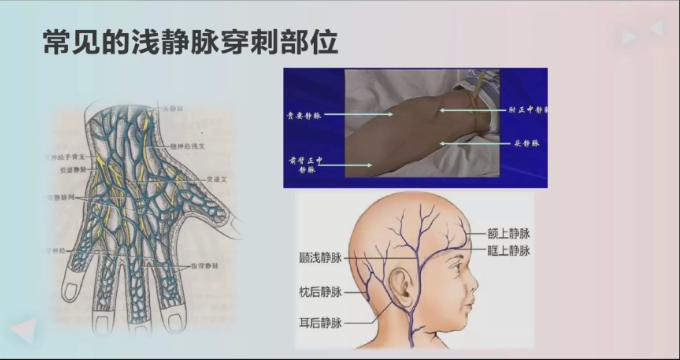 静脉输液主要用物:止血带的使用