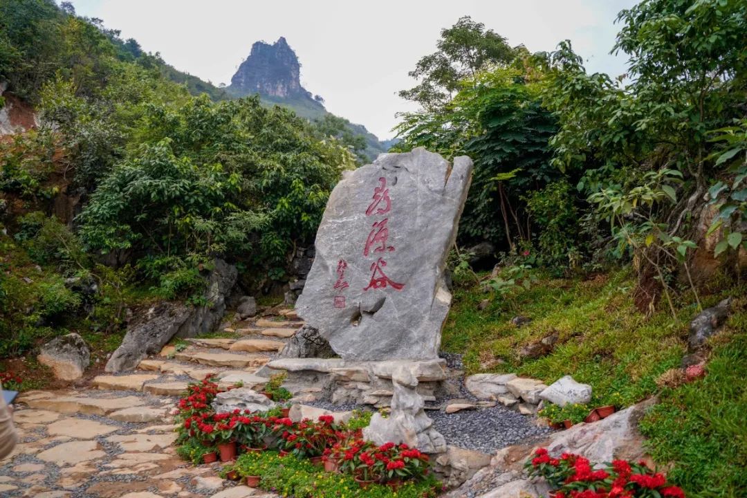 绝美花海,篝火晚会……肇庆这个新晋"网红"景点,你去